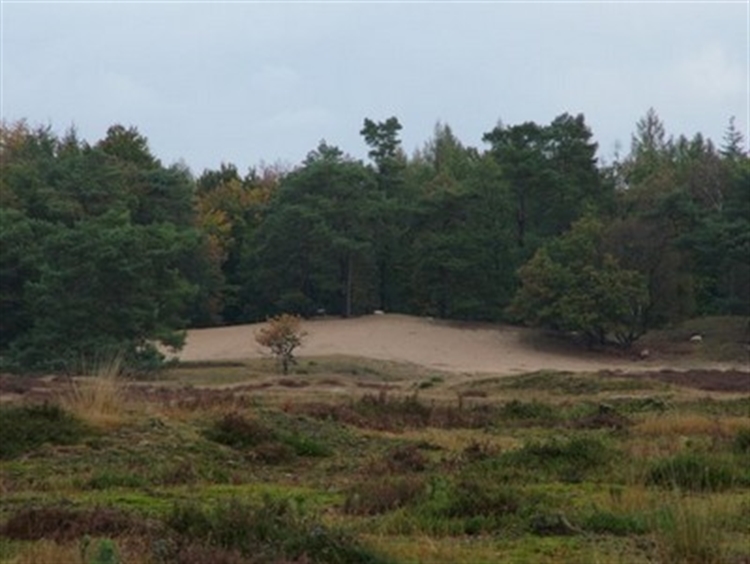 hoekenbrink-2