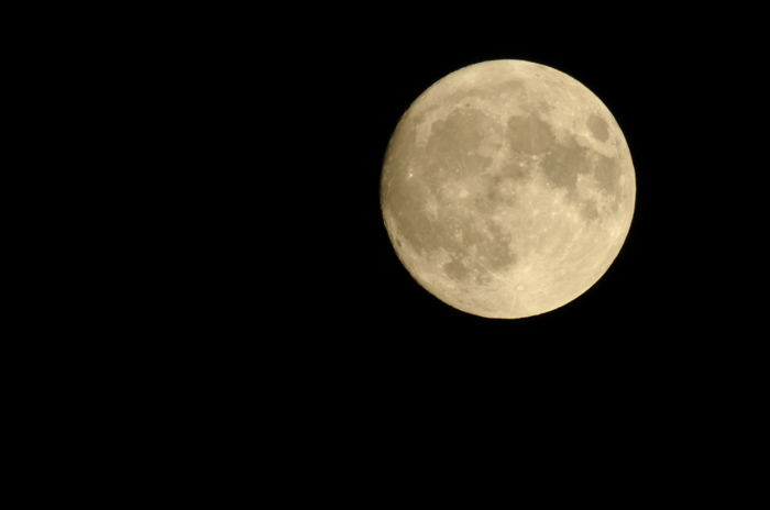 vollemaan