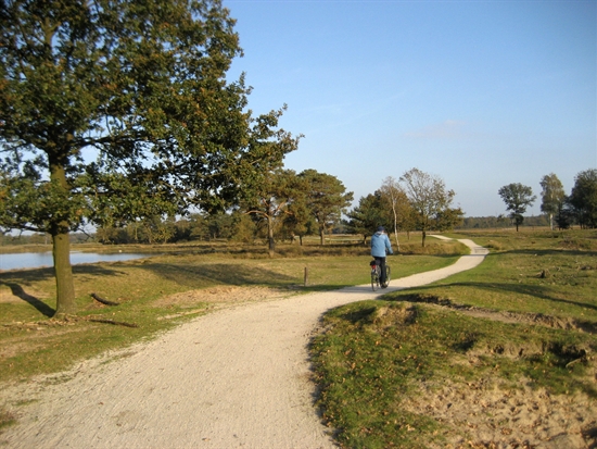 © Maarten Sepp - Aekingerzand, Drents-Friese Wold