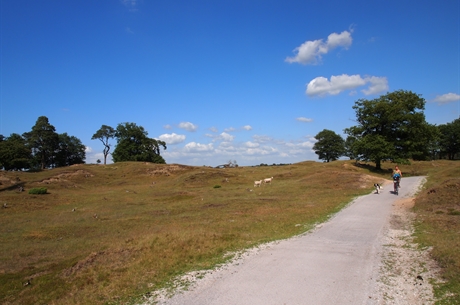 © Baykedevries - Fiets of Wandelpad door het Drents-Frieswold