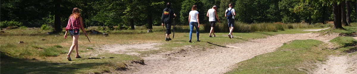 © Baykedevries - Wandelen in het Drents-Friesewold