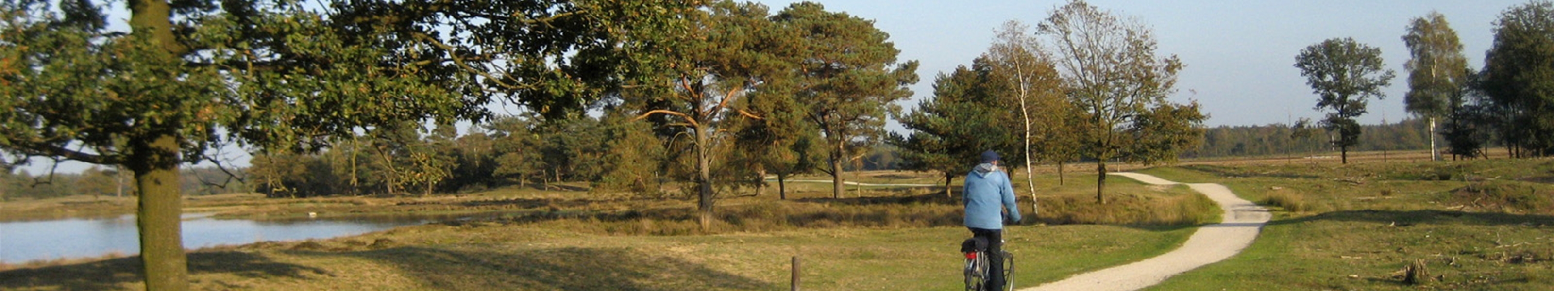 © Maarten Sepp - Aekingerzand, Drents-Friese Wold