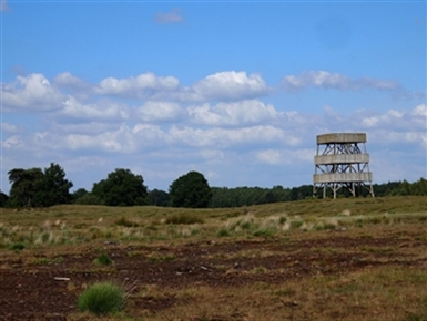 Uitkijktoren in het landschap van Aekingerzand