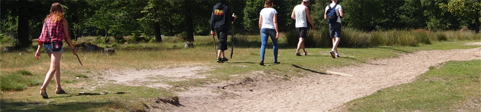 © Baykedevries - Wandelen in het Drents-Friesewold