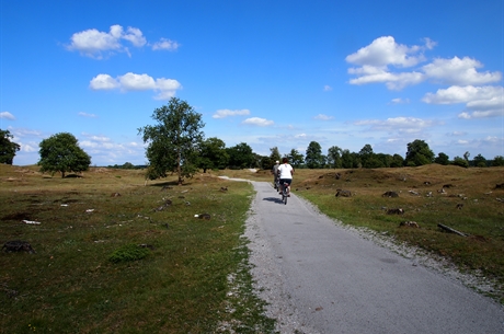 © Baykedevries - Fietsen door het DFW