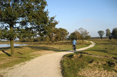 © Maarten Sepp - Aekingerzand, Drents-Friese Wold