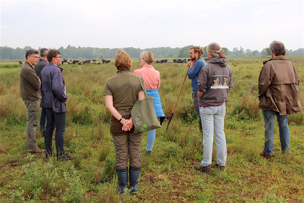 Excursie Natuurmonumenten Sayaguesa-runderen foto Alanda de Boer