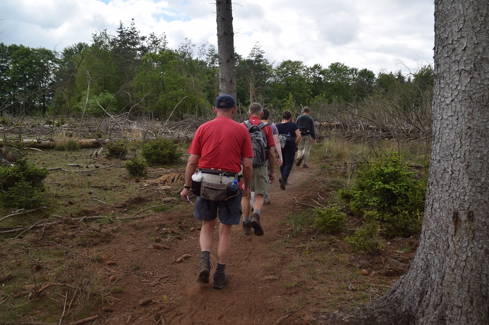 Wandelvierdaagse DF Wold 2019