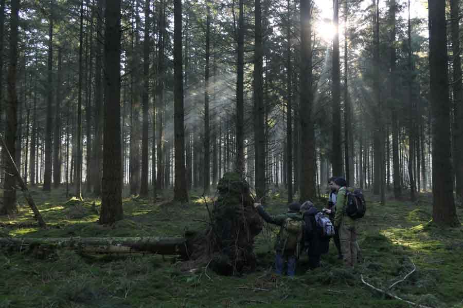 struinen-in-het-Drents-Friese-Wold Foto: Aaldrik Pot