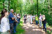 wandeling
